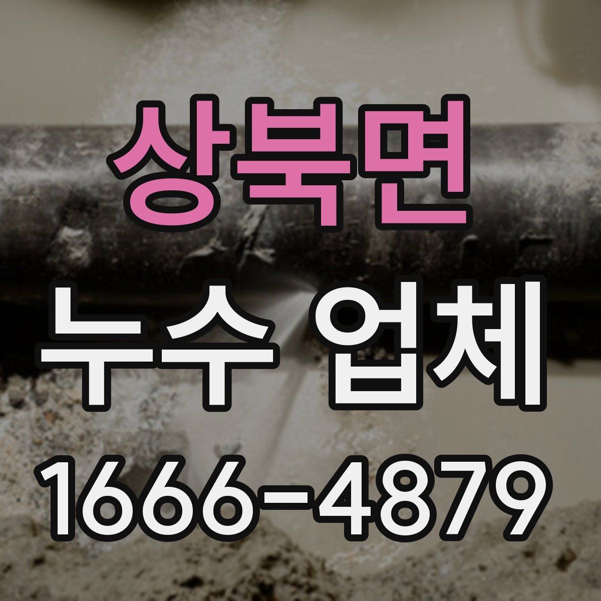 상북면 누수 업체