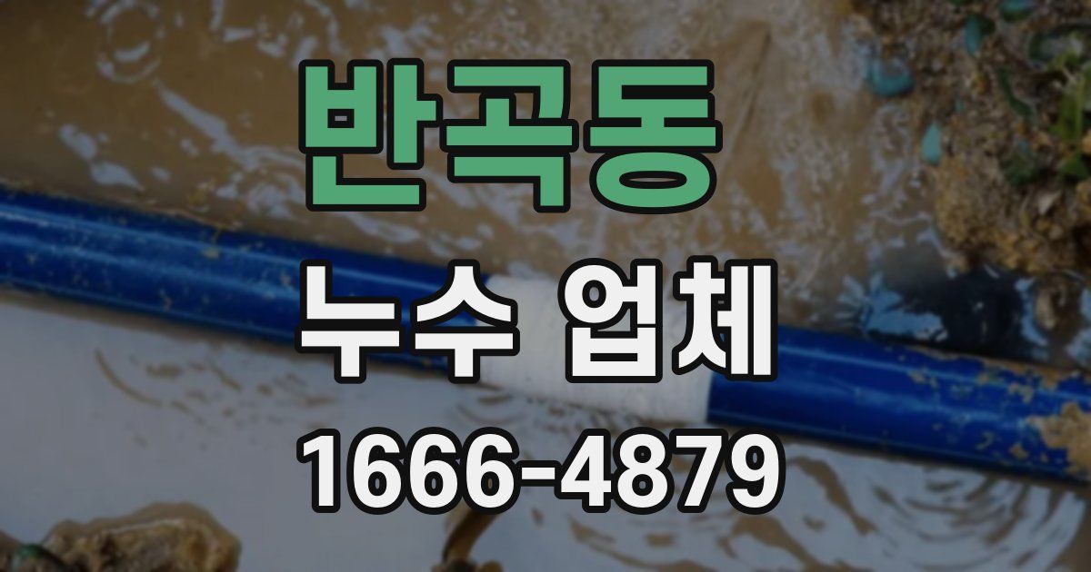 반곡동 누수 업체