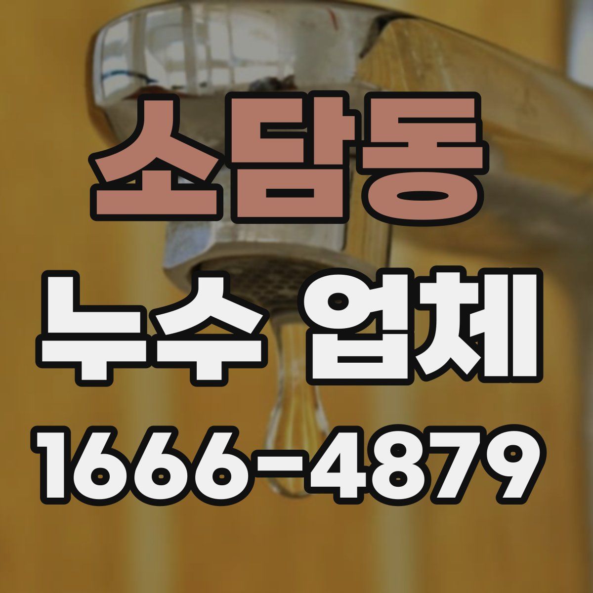 소담동 누수 업체
