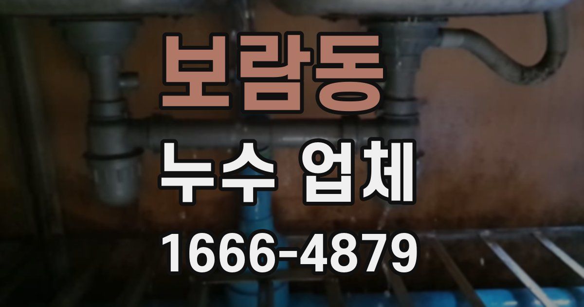 보람동 누수 업체