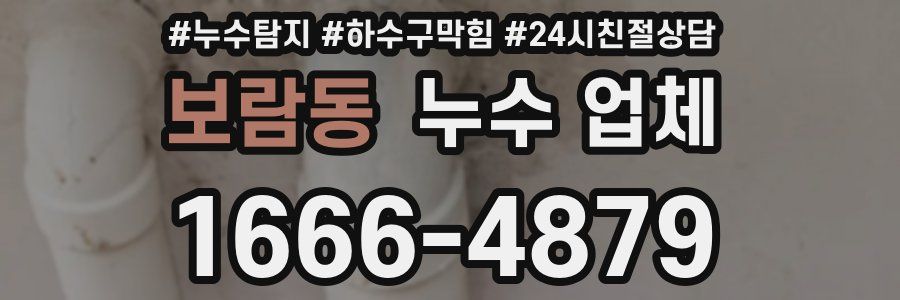 보람동 누수 업체