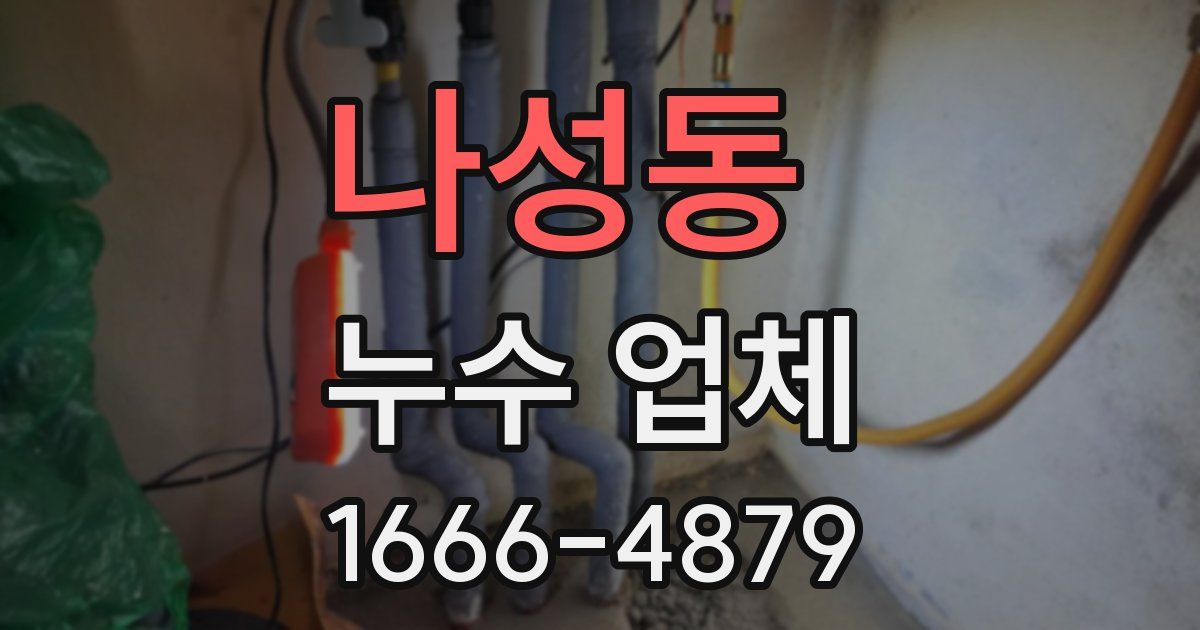나성동 누수 업체