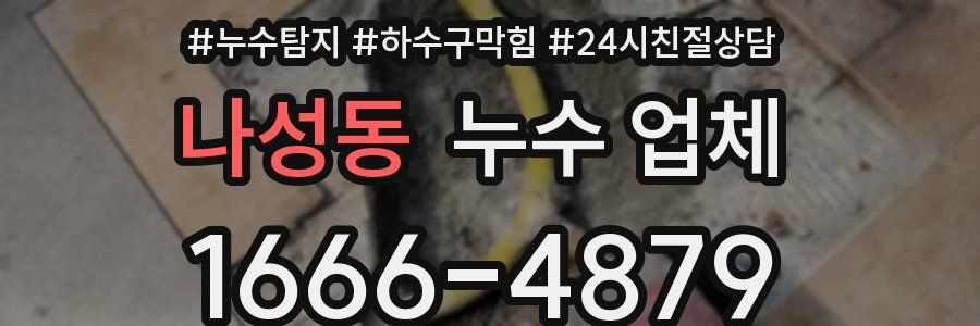 나성동 누수 업체