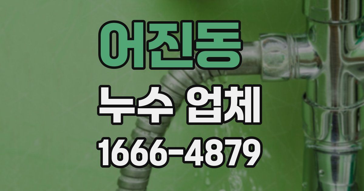 어진동 누수 업체