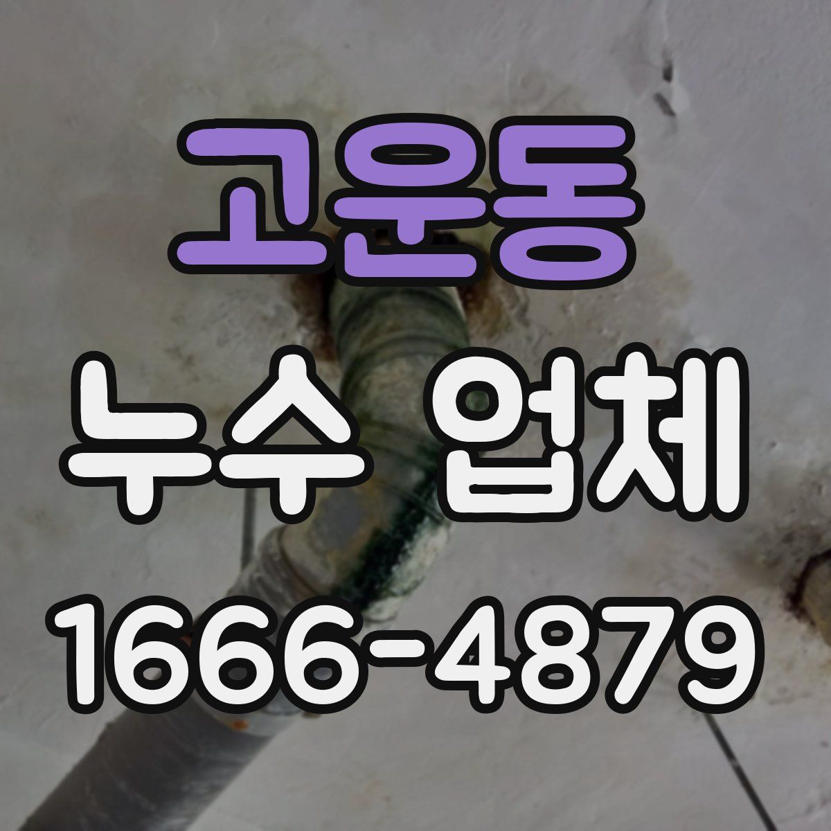 고운동 누수 업체