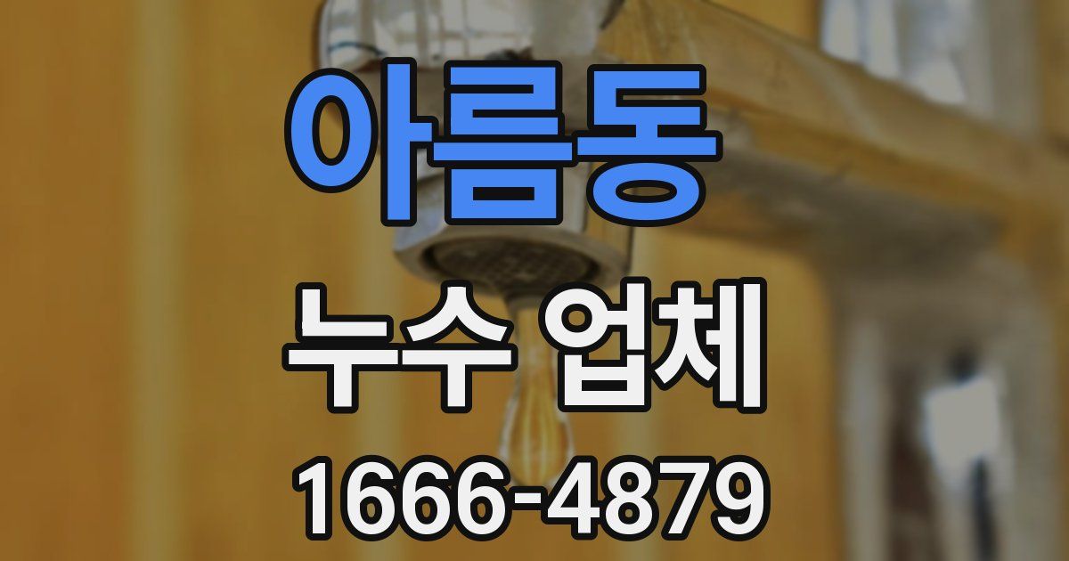 아름동 누수 업체