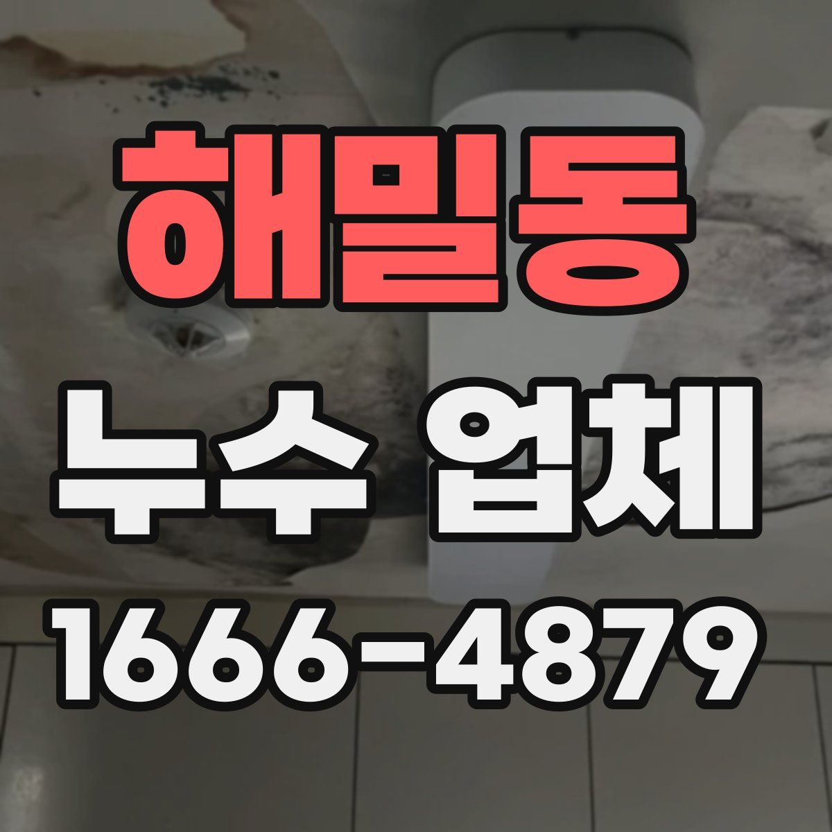 해밀동 누수 업체