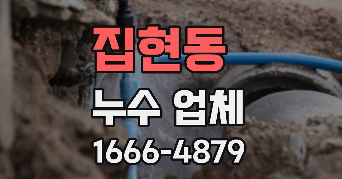 집현동 누수 업체