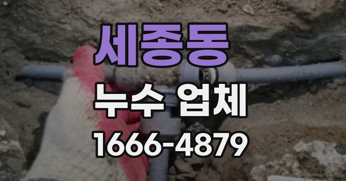 세종동 누수 업체