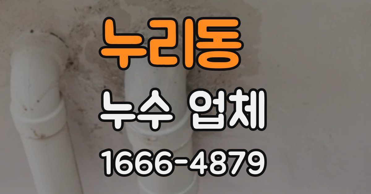 누리동 누수 업체