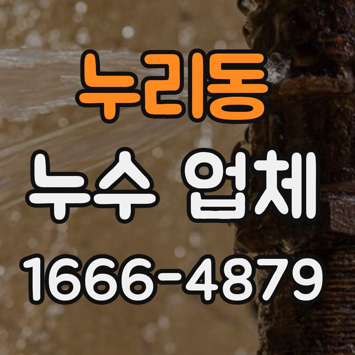 누리동 누수 업체