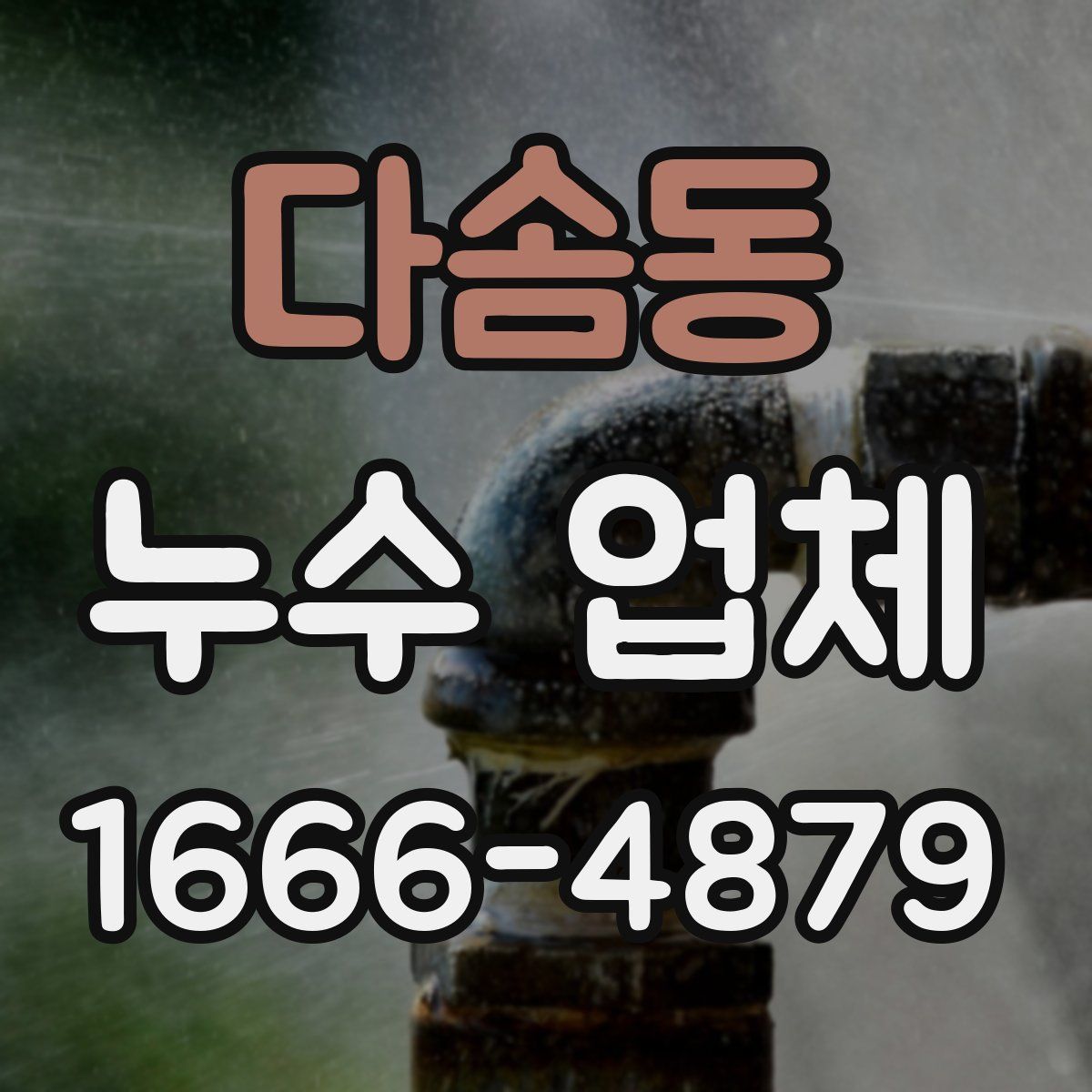 다솜동 누수 업체