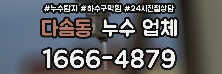 다솜동 누수 업체