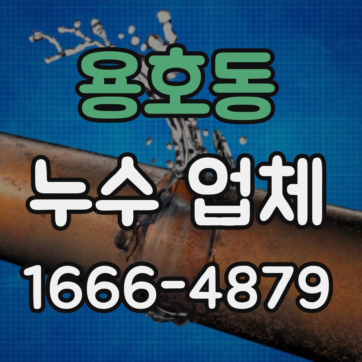 용호동 누수 업체