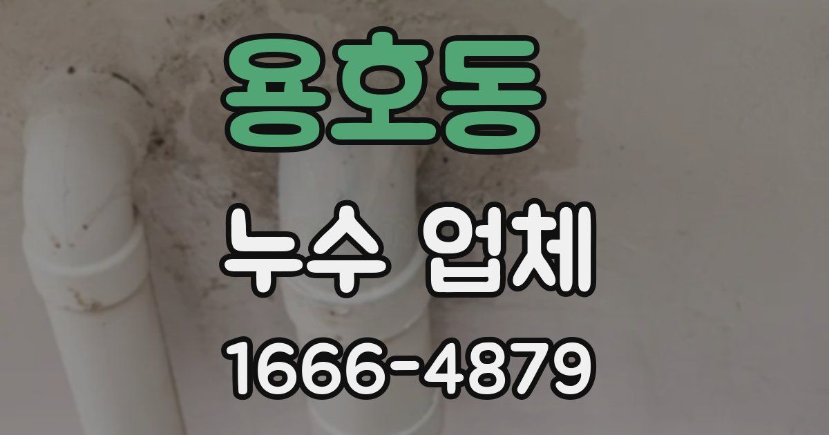 용호동 누수 업체
