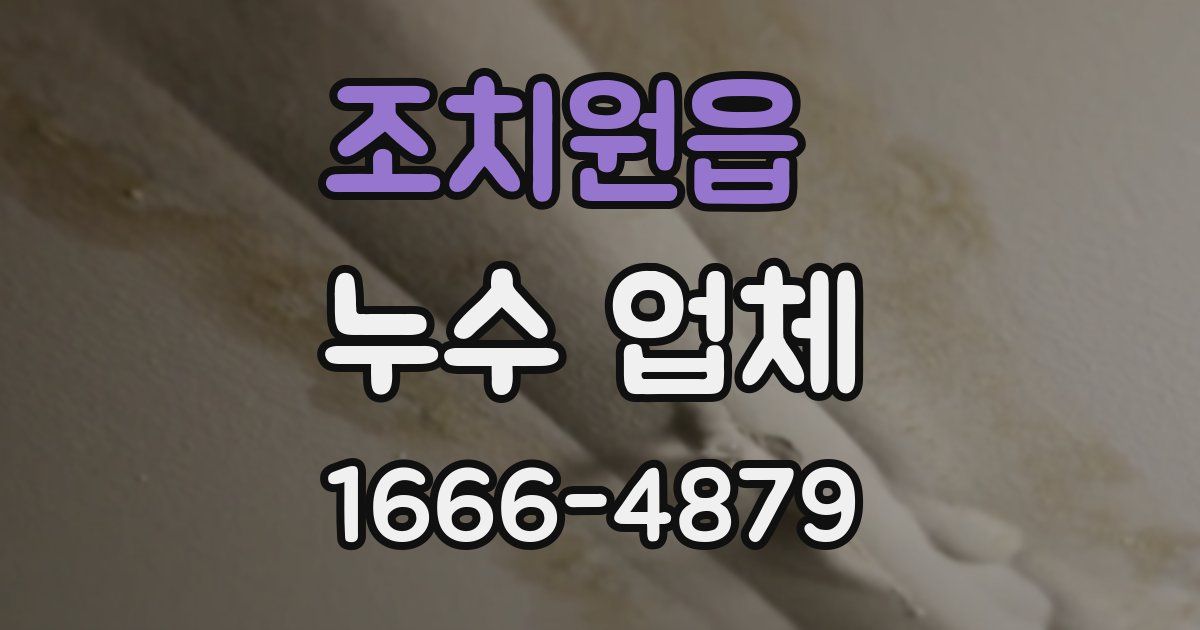 조치원읍 누수 업체