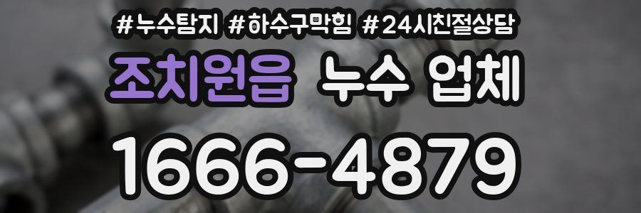 조치원읍 누수 업체