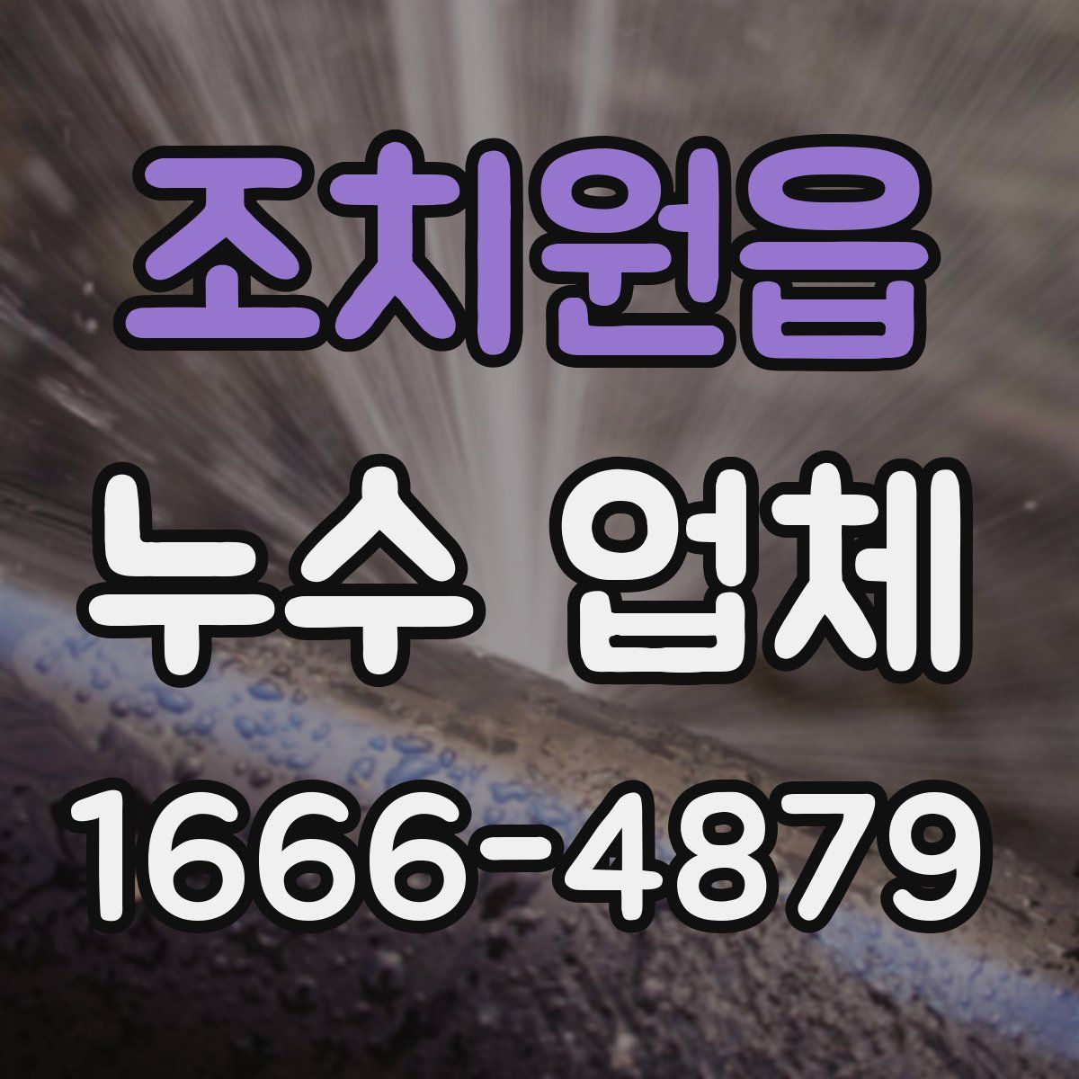 조치원읍 누수 업체