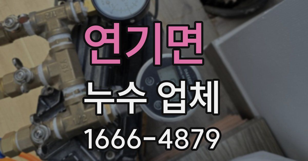 연기면 누수 업체