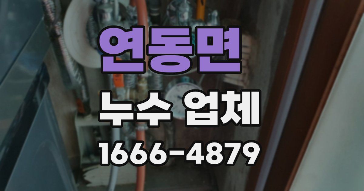 연동면 누수 업체