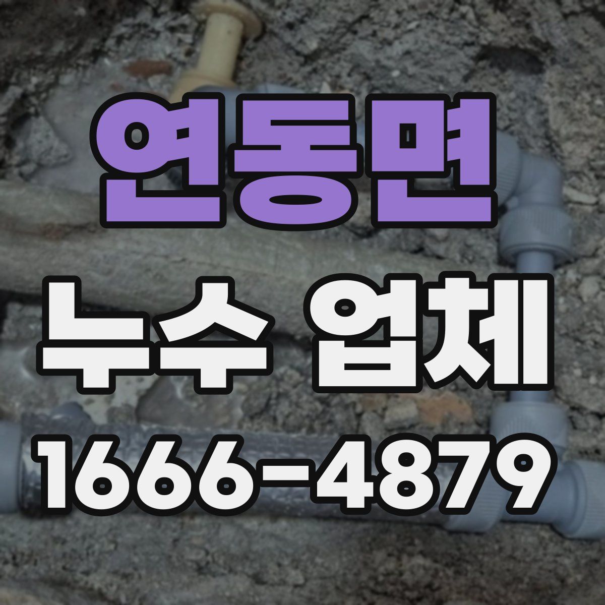 연동면 누수 업체