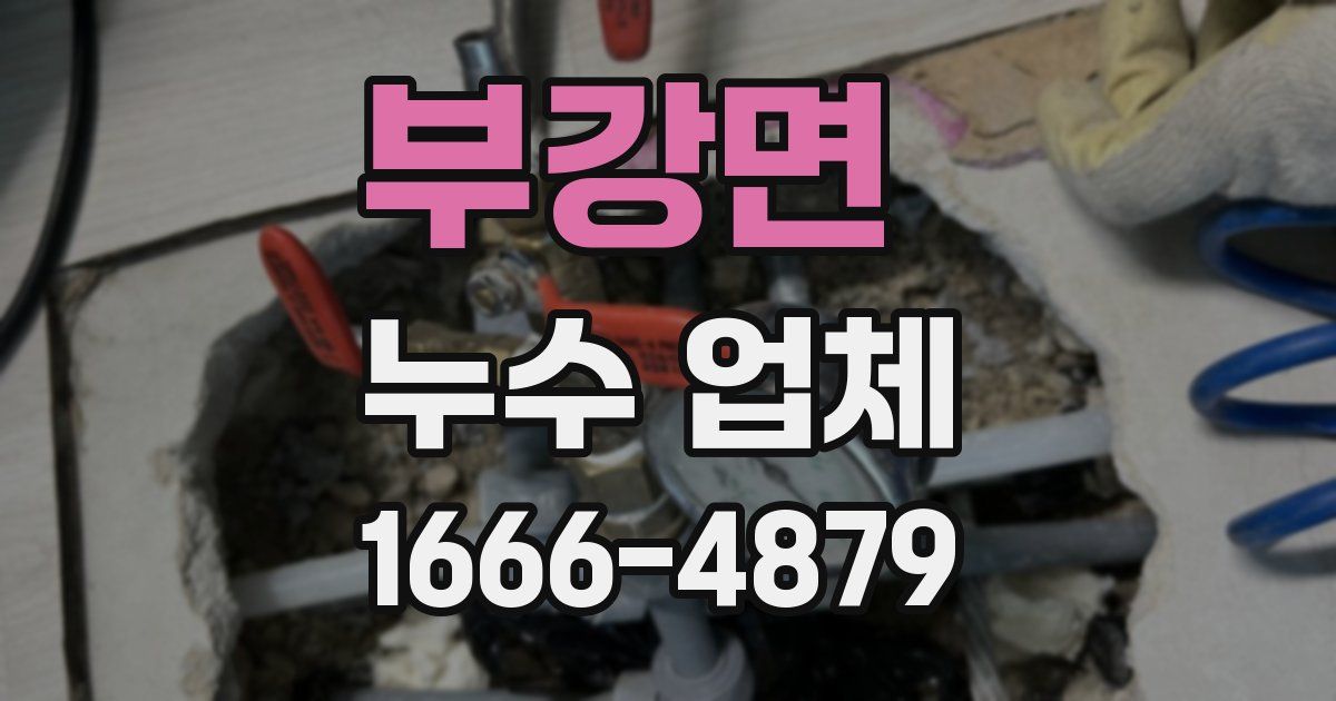 부강면 누수 업체