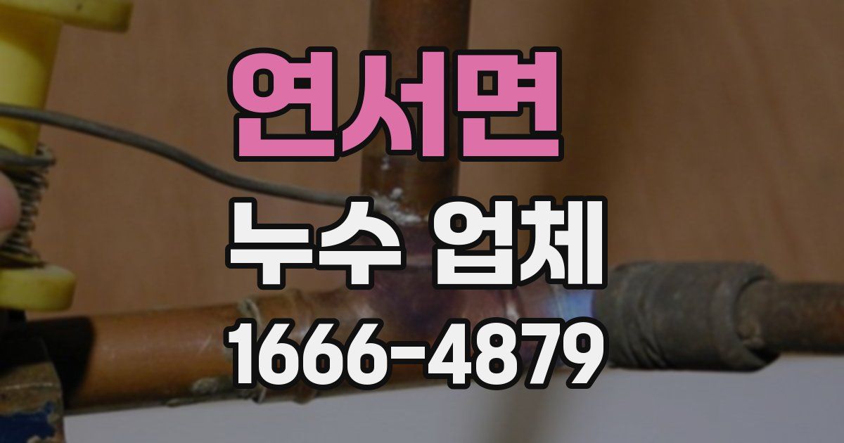 연서면 누수 업체