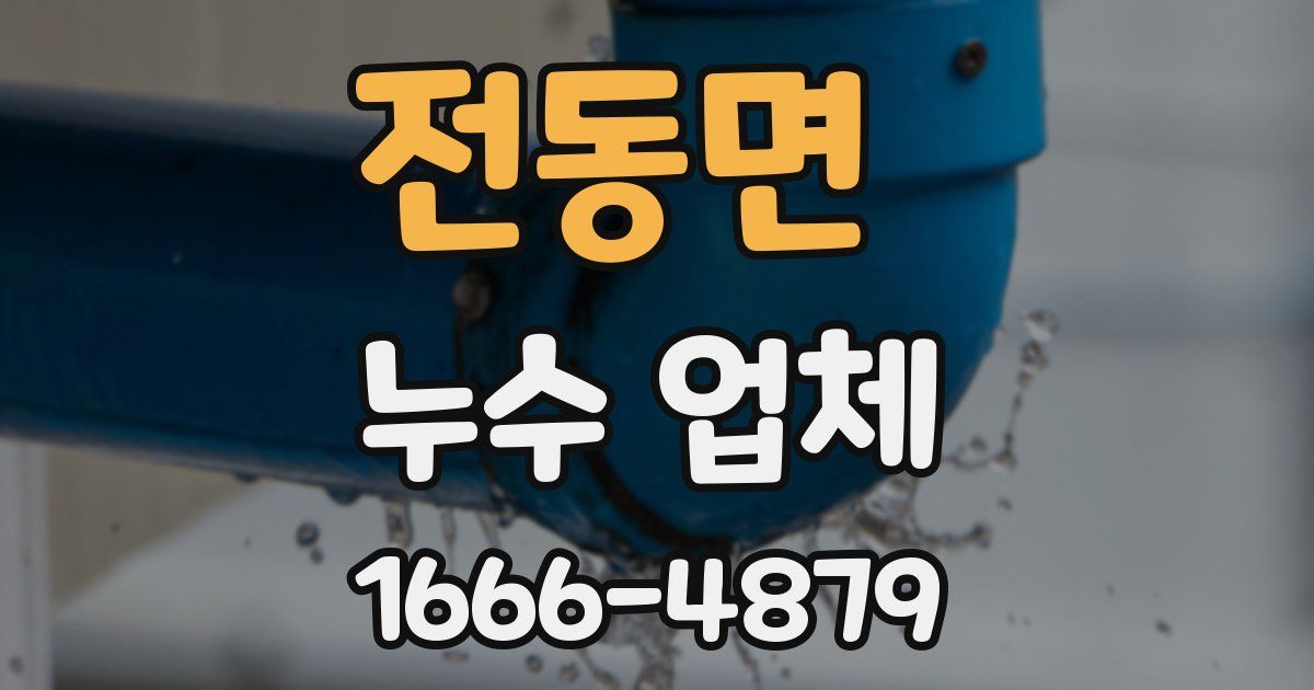 전동면 누수 업체