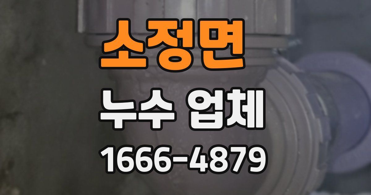 소정면 누수 업체