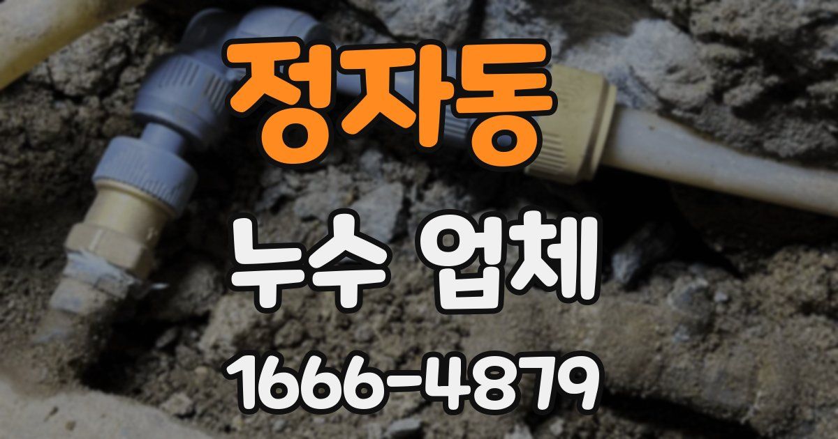 정자동 누수 업체