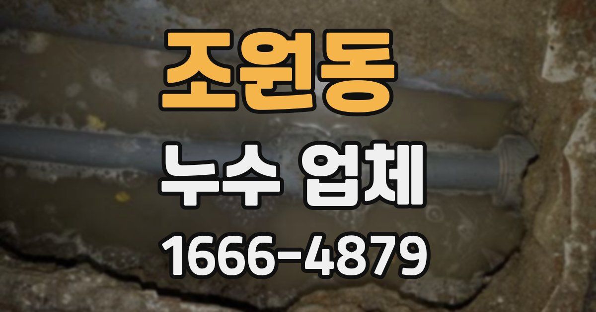 조원동 누수 업체