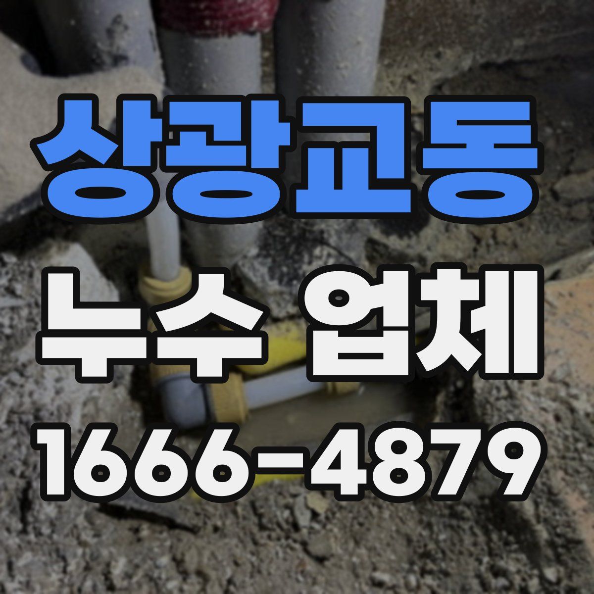 상광교동 누수 업체