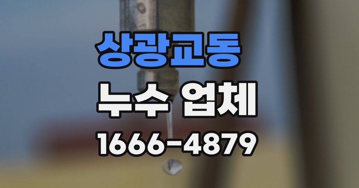 상광교동 누수 업체