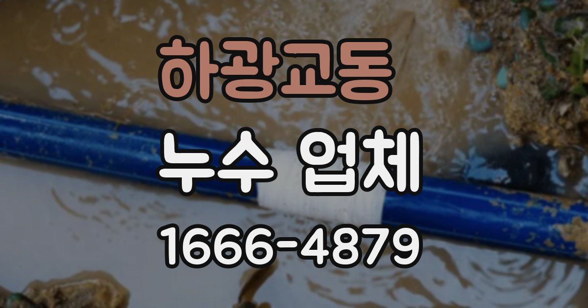 하광교동 누수 업체