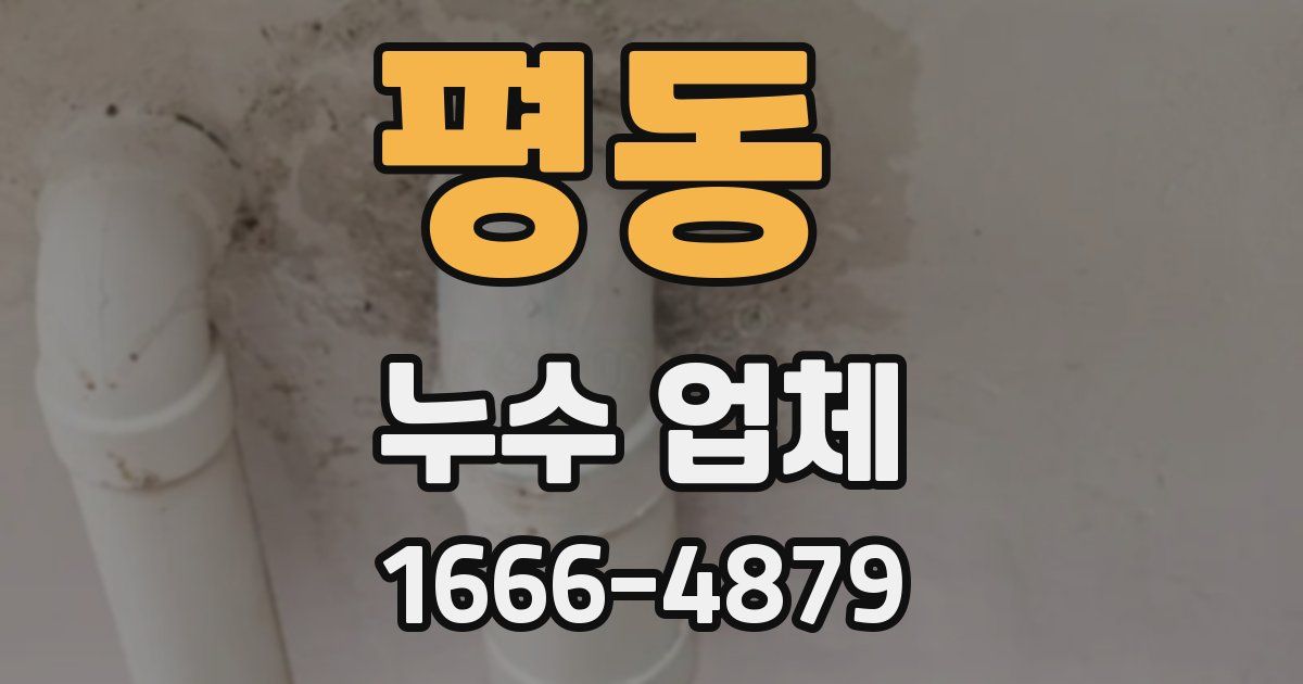 평동 누수 업체