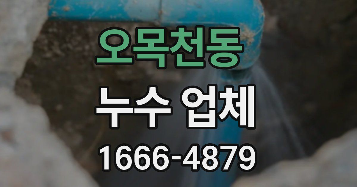 오목천동 누수 업체
