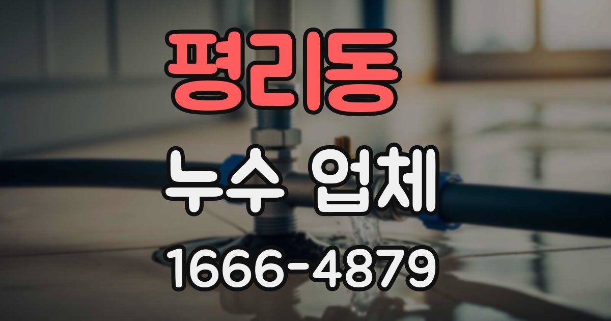 평리동 누수 업체