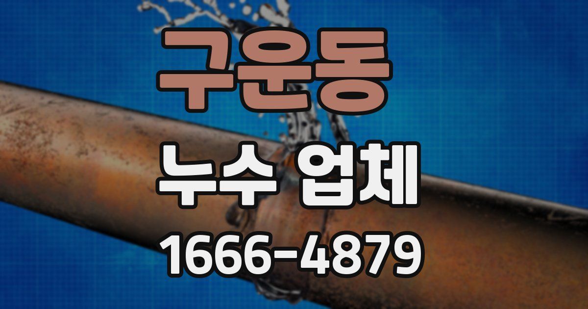 구운동 누수 업체