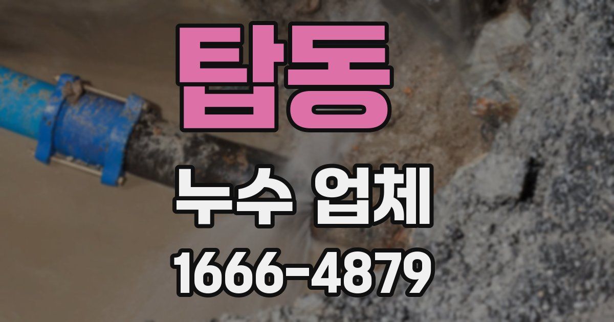 탑동 누수 업체