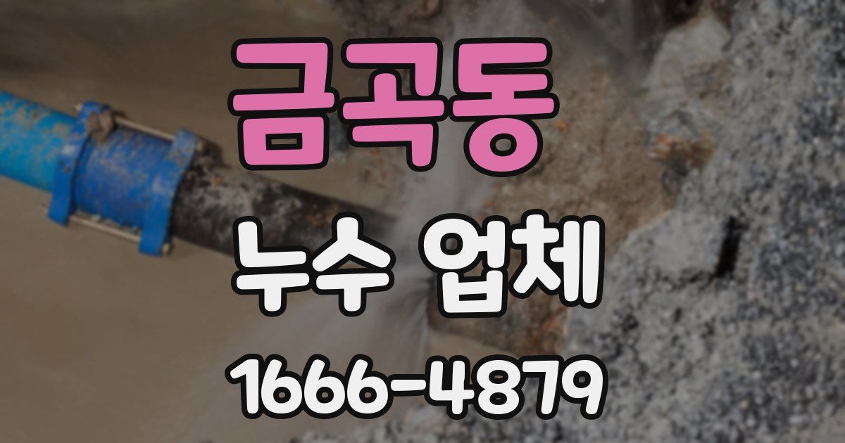 금곡동 누수 업체