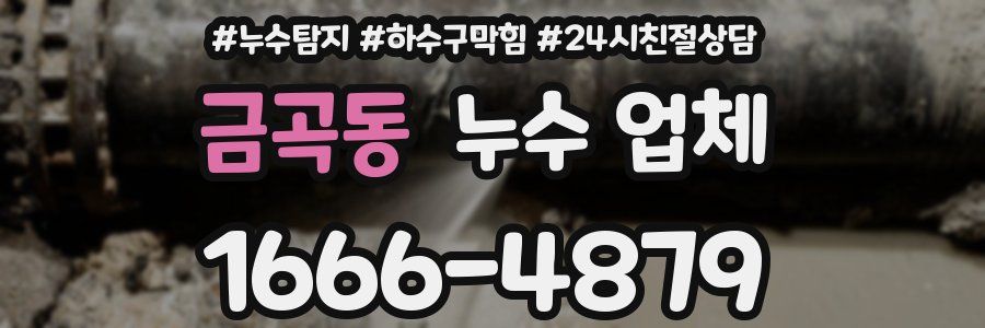 금곡동 누수 업체
