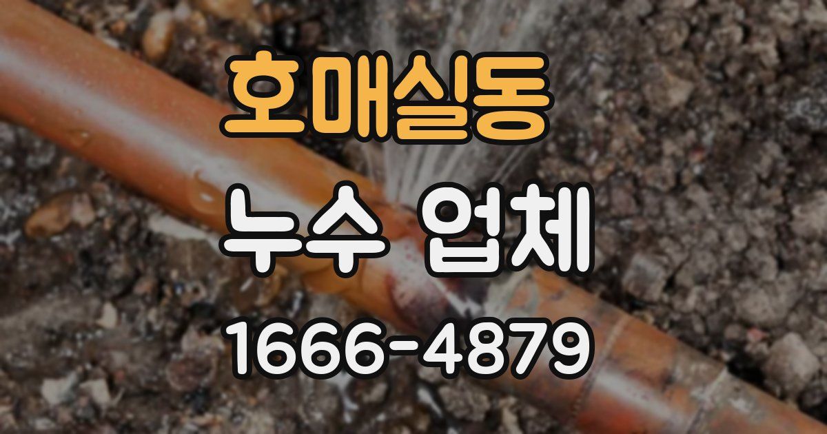 호매실동 누수 업체