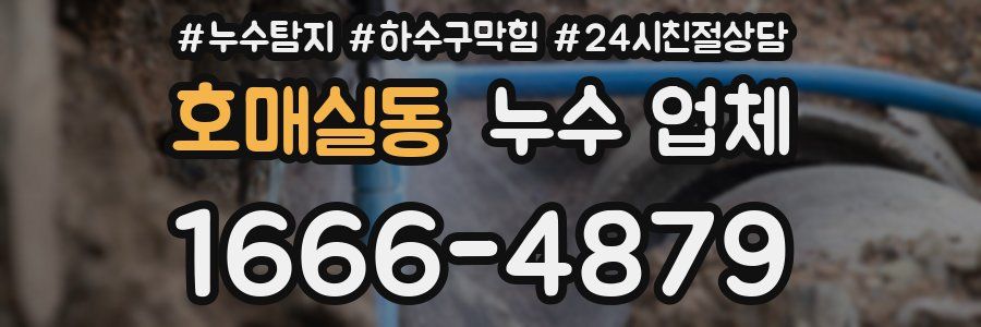 호매실동 누수 업체