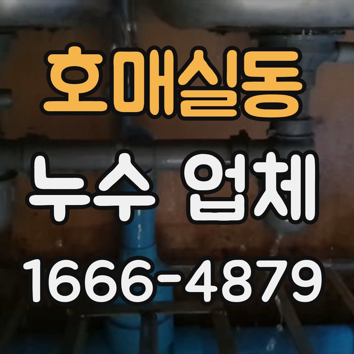 호매실동 누수 업체