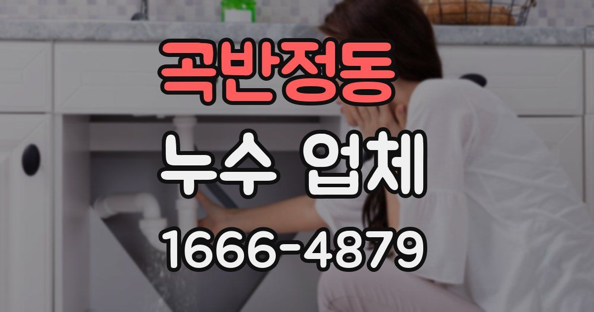 곡반정동 누수 업체