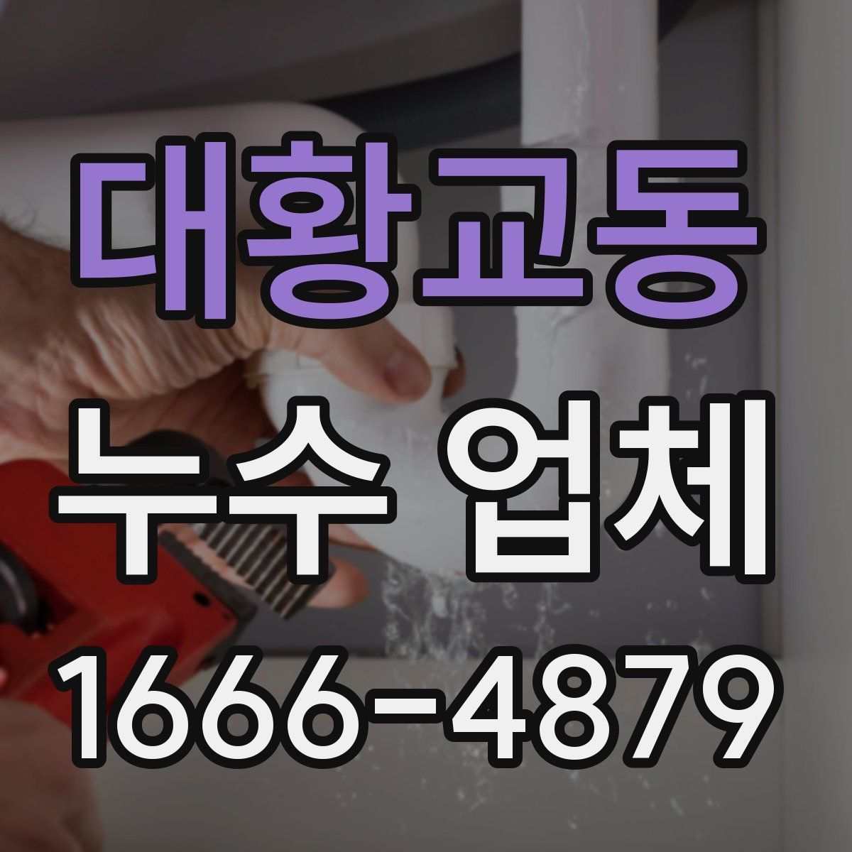 대황교동 누수 업체