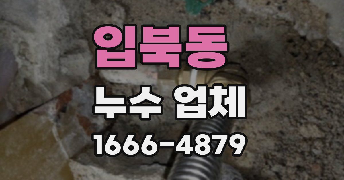 입북동 누수 업체