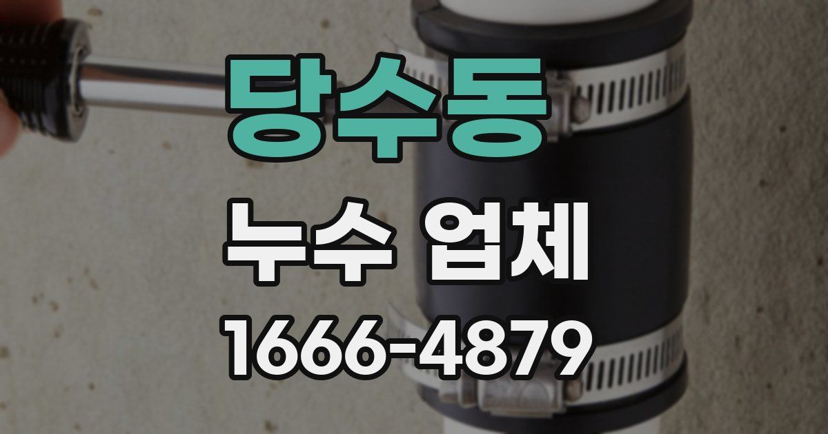 당수동 누수 업체