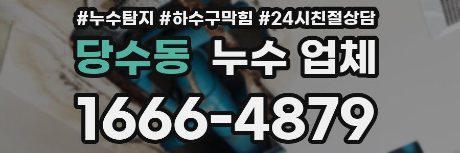 당수동 누수 업체