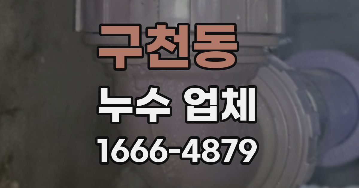 구천동 누수 업체